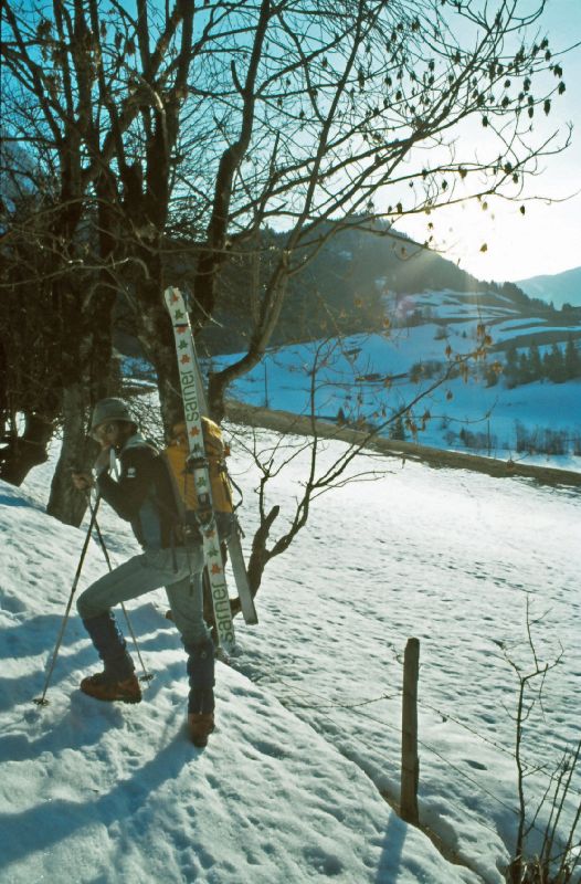 Scheiblingstein, Stadelfeldschneid (247 Bildaufrufe)