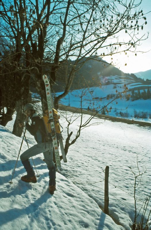 Scheiblingstein, Stadelfeldschneid (230 Bildaufrufe)