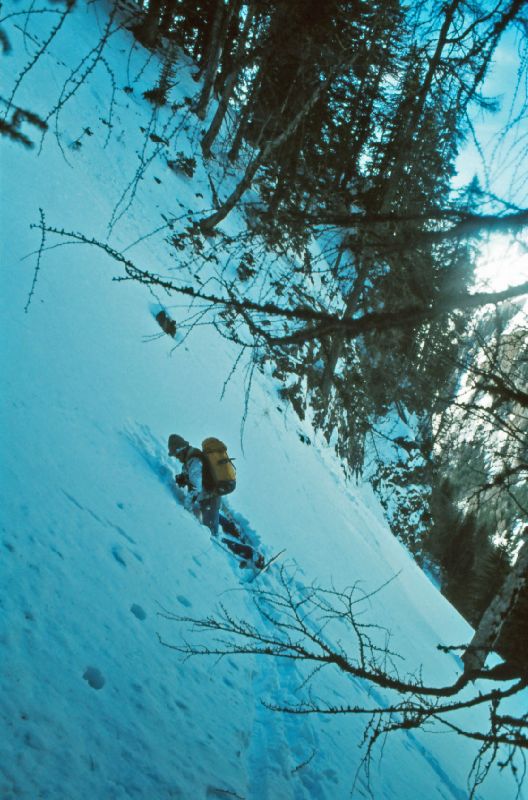 Scheiblingstein, Stadelfeldschneid (264 Bildaufrufe)