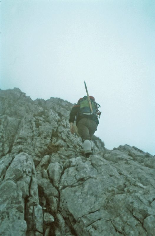 Gr.Ötscher (263 Bildaufrufe)