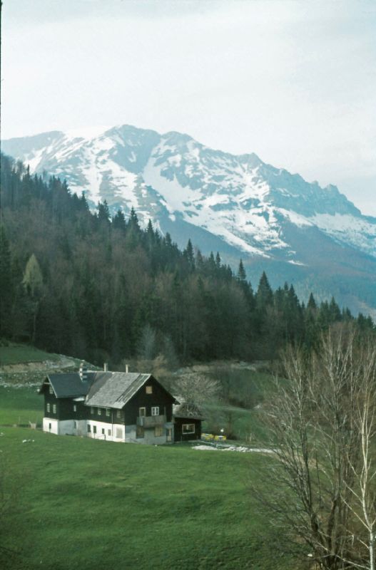 Gr.Ötscher (269 Bildaufrufe)