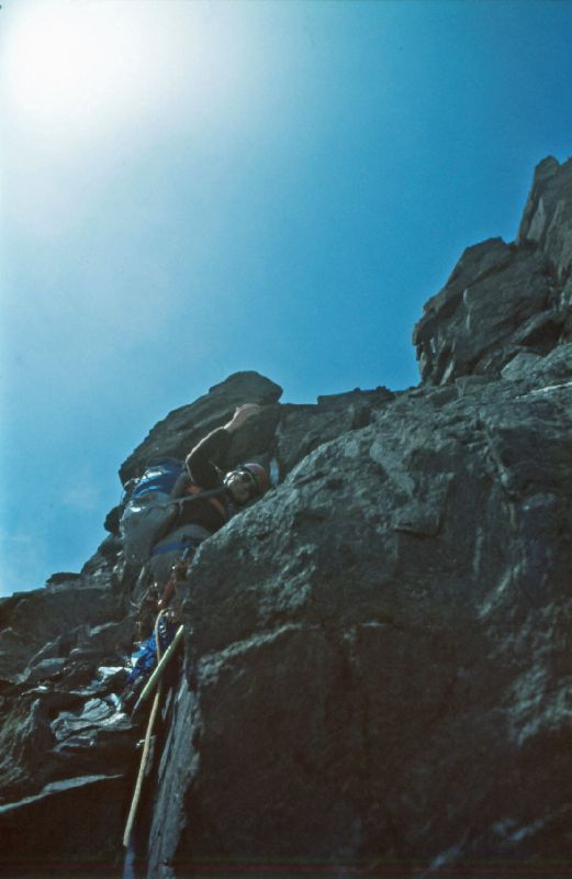 Großglockner (309 Bildaufrufe)