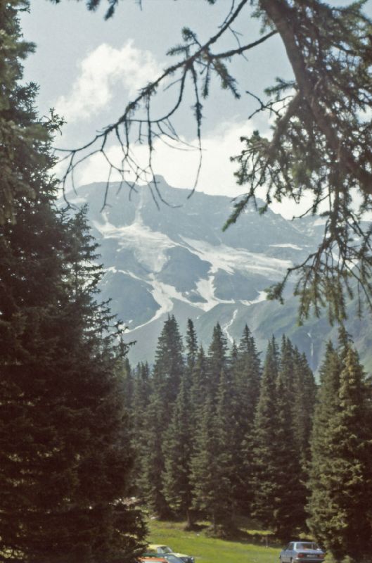 Hoher Sonnblick, Goldbergspitze (366 Bildaufrufe)