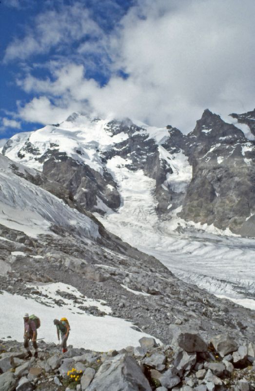 Munt Pers, Piz Bernina (272 Bildaufrufe)