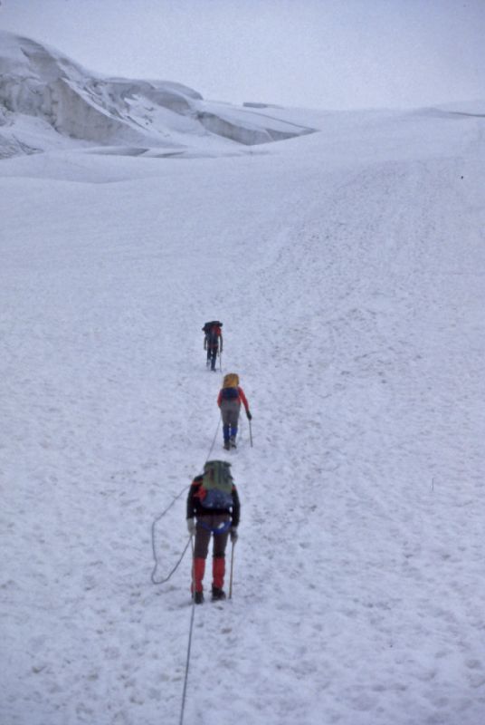Munt Pers, Piz Bernina (296 Bildaufrufe)