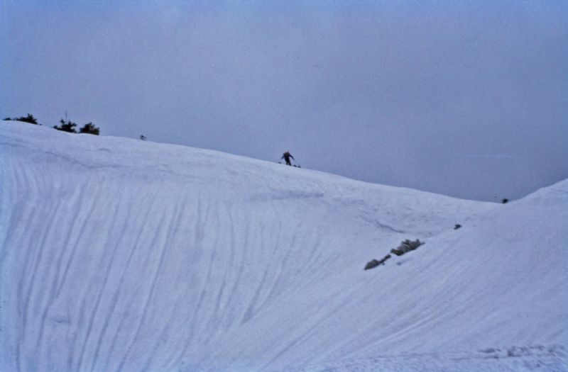 Dürrenstein (305 Bildaufrufe)