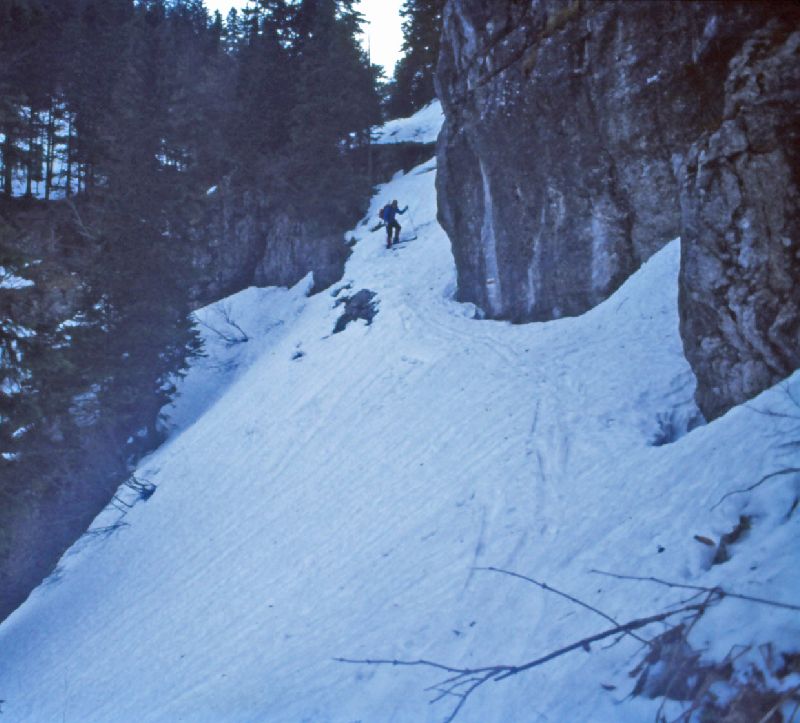 Dürrenstein (295 Bildaufrufe)