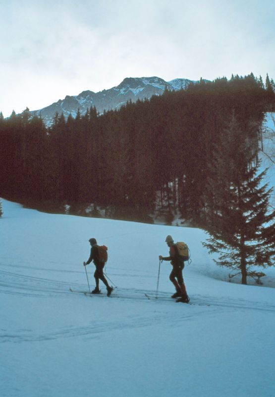 Hohe Veitsch (246 Bildaufrufe)
