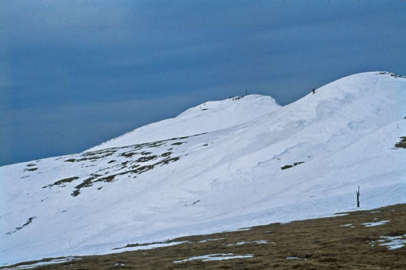 Hohe Veitsch (230 Bildaufrufe)