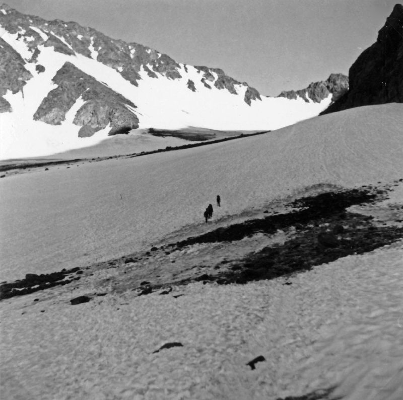 Wildspitze (262 Bildaufrufe)