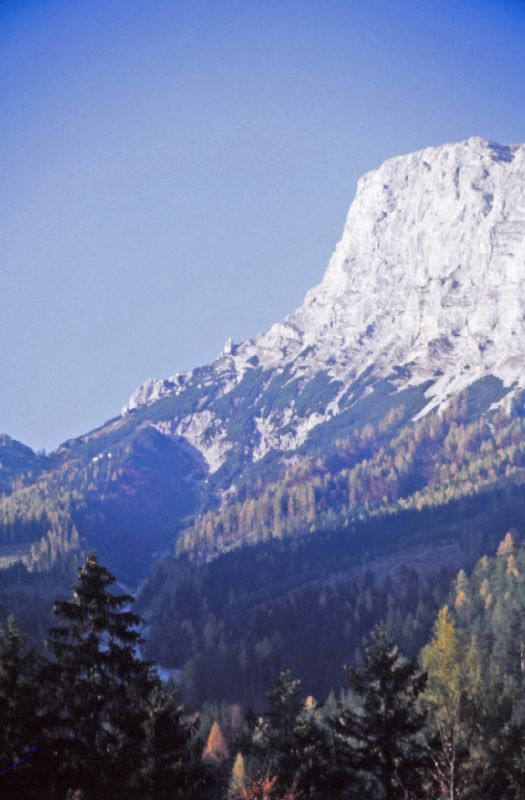 Reichenstein (273 Bildaufrufe)