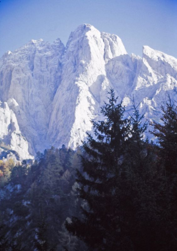 Reichenstein (215 Bildaufrufe)