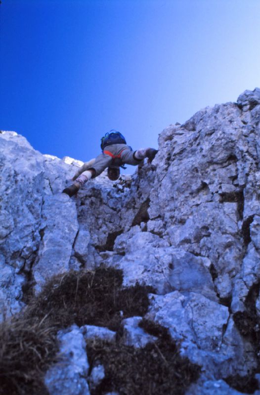 Kl.Winkelkogel (274 Bildaufrufe)
