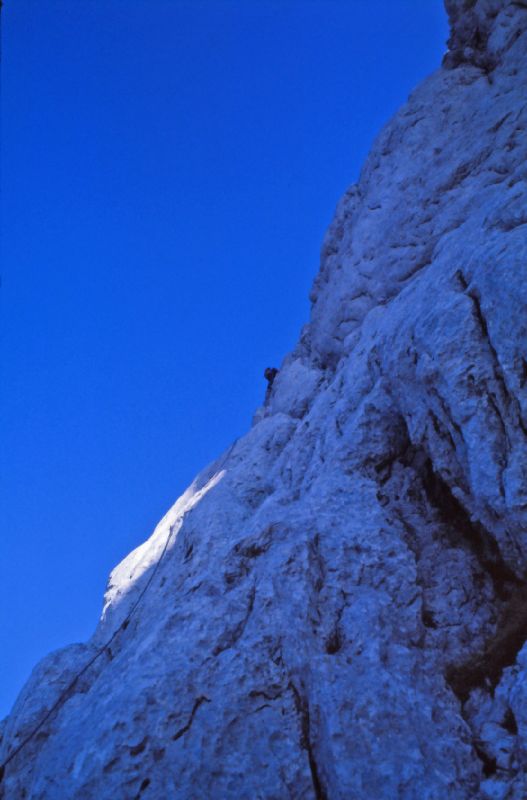 Kl.Winkelkogel (293 Bildaufrufe)