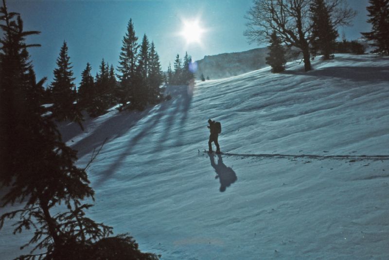 Kl.Königskogel (241 Bildaufrufe)