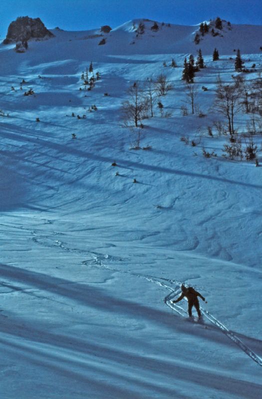 Kl.Königskogel (263 Bildaufrufe)