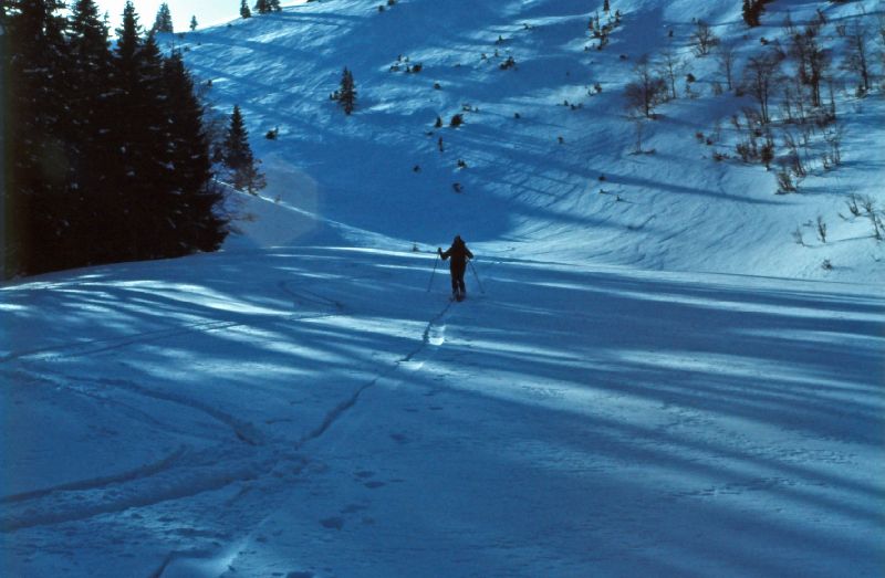 Kl.Königskogel (261 Bildaufrufe)