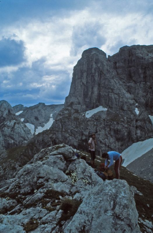 Wetzsteinkogel (278 Bildaufrufe)
