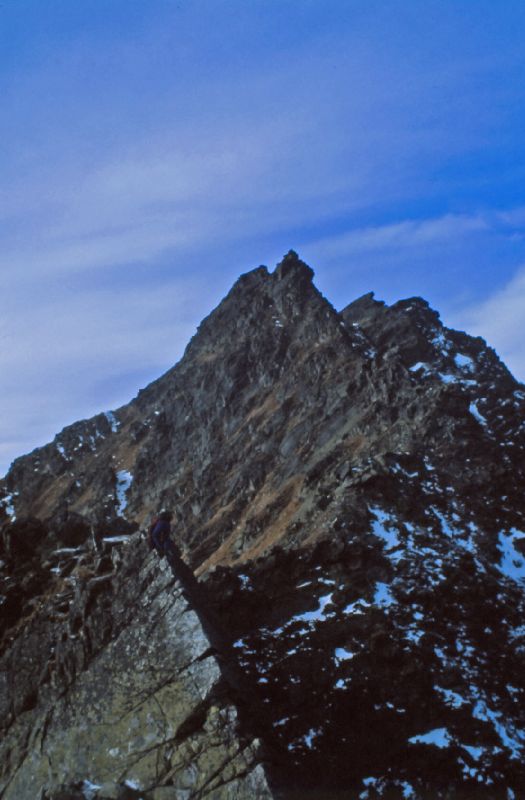 Gamskogel (324 Bildaufrufe)