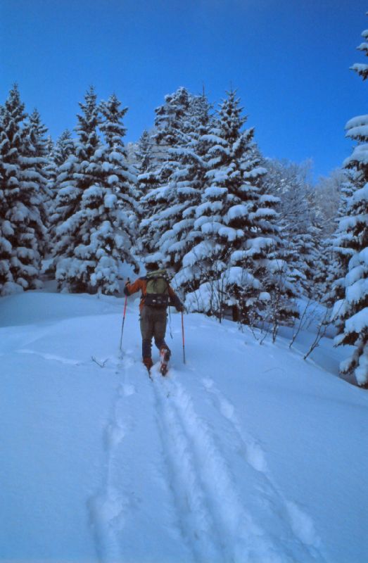 Obersberg (255 Bildaufrufe)