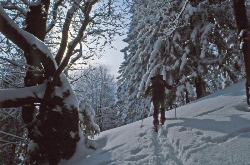 Obersberg (256 Bildaufrufe)