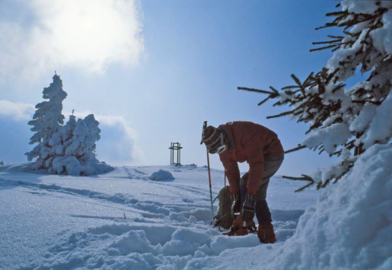 Tirolerkogel, Schwarzenberg (492 Bildaufrufe)
