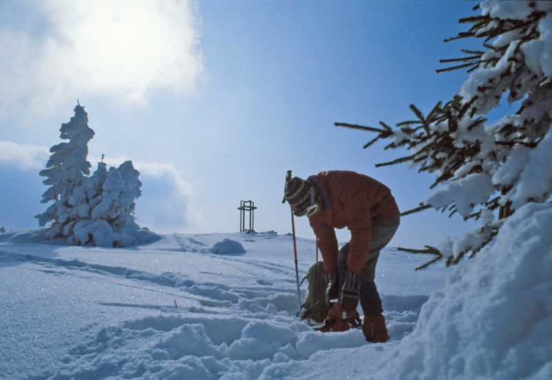 Tirolerkogel, Schwarzenberg (441 Bildaufrufe)