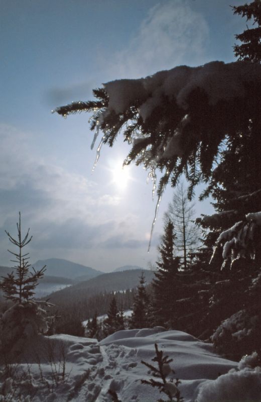 Tirolerkogel, Schwarzenberg (360 Bildaufrufe)