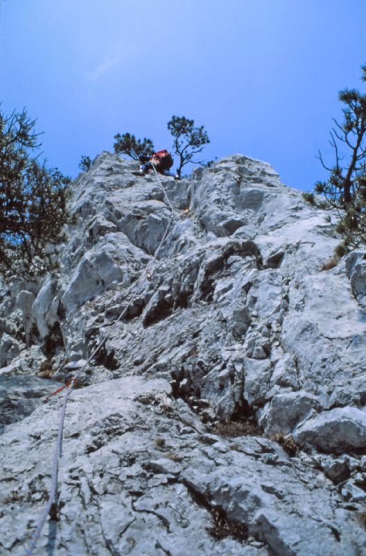 Stadelwand (316 Bildaufrufe)