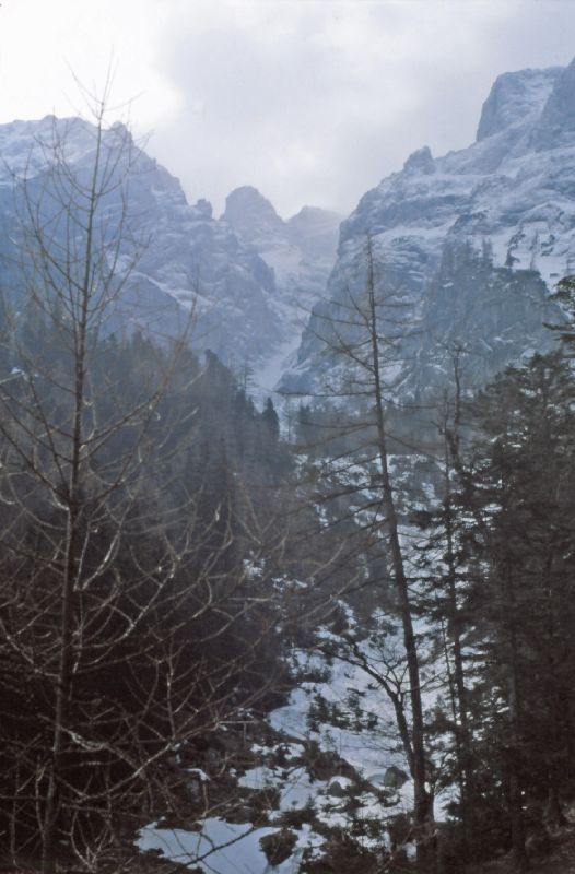 Hochschwab (399 Bildaufrufe)