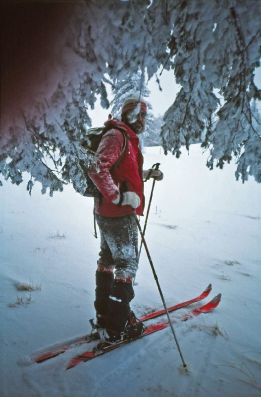 Tirolerkogel (216 Bildaufrufe)