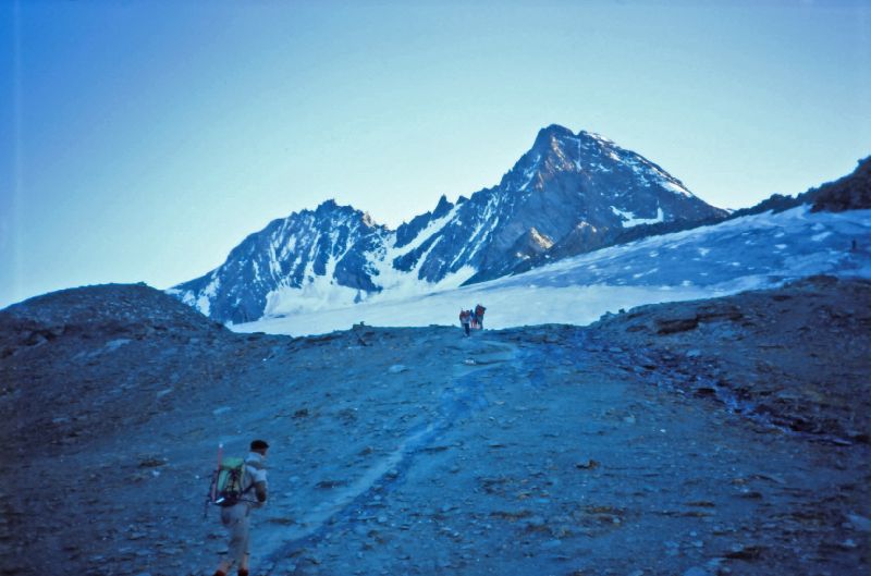 Großglockner (220 Bildaufrufe)
