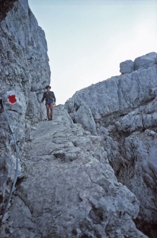 Watzmann-Südspitze (250 Bildaufrufe)