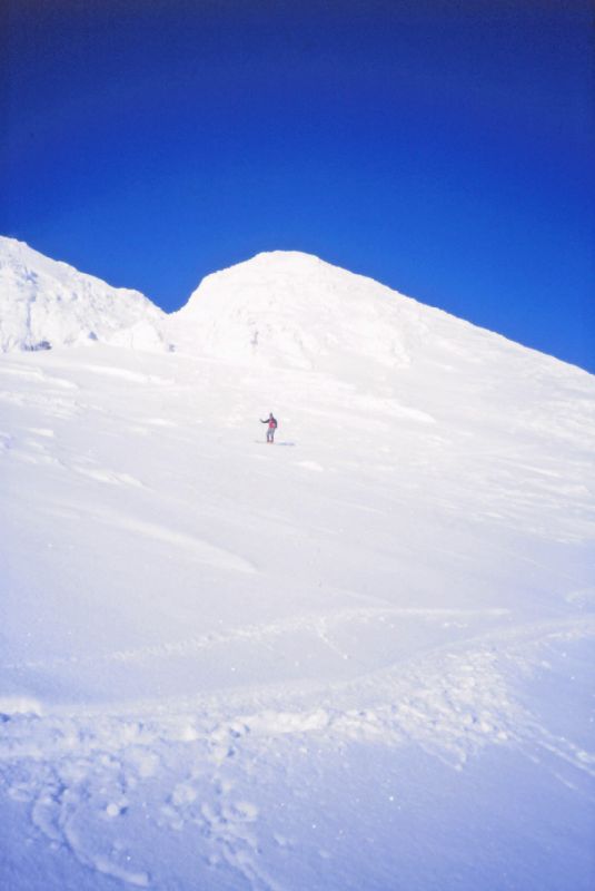 Karlhochkogel (220 Bildaufrufe)