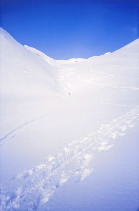 Karlhochkogel (234 Bildaufrufe)