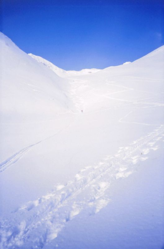 Karlhochkogel (222 Bildaufrufe)