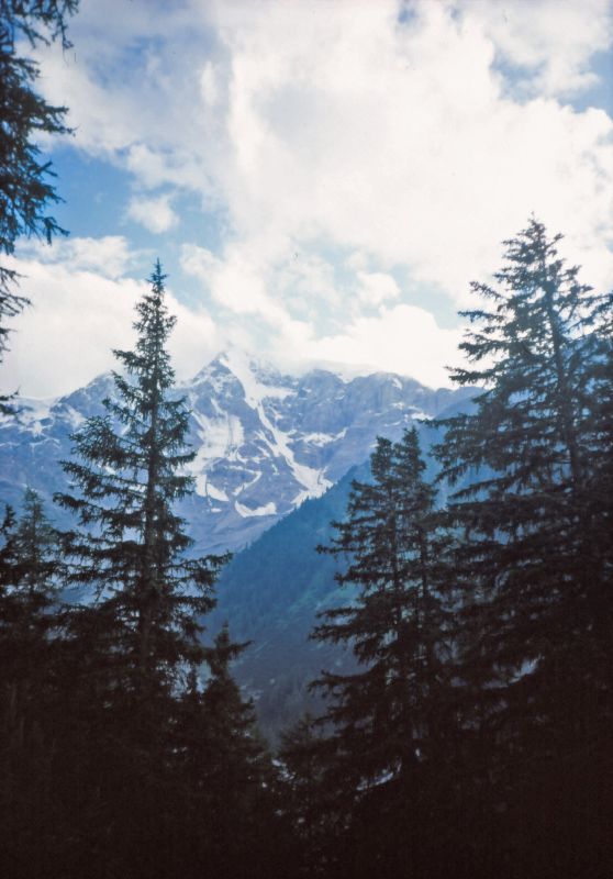 Tabarettahütte (450 Bildaufrufe)