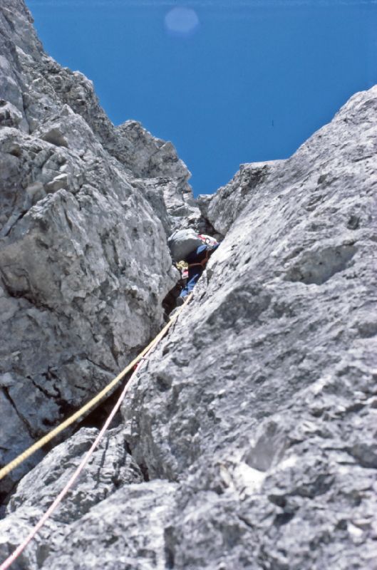 Gr.Bischofsmütze (325 Bildaufrufe)