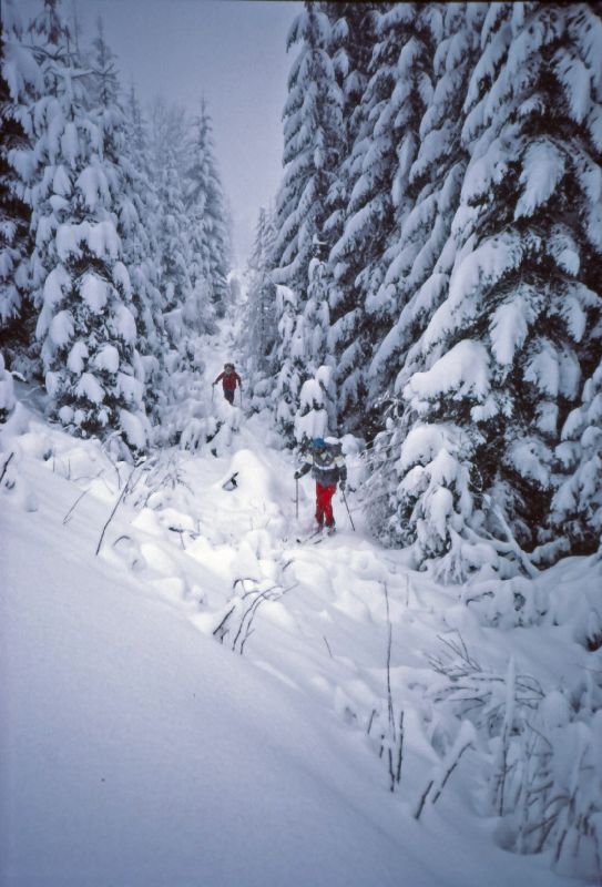 Rotwandköpfl, Gscheideggkogel (409 Bildaufrufe)