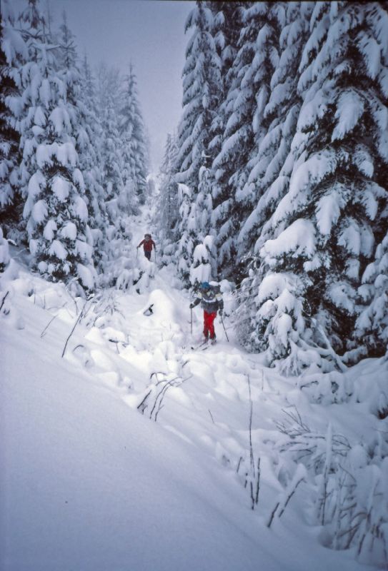 Rotwandköpfl, Gscheideggkogel (344 Bildaufrufe)