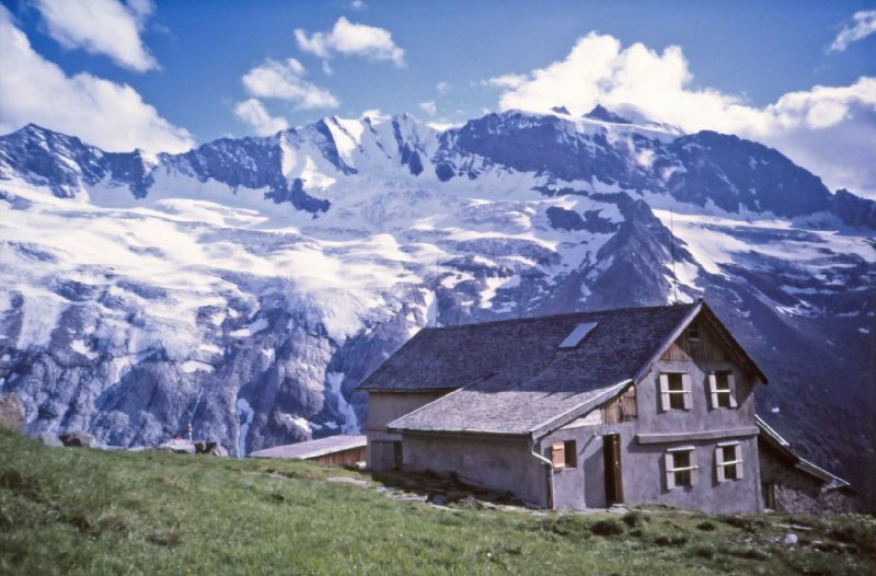 Hochfeiler (288 Bildaufrufe)