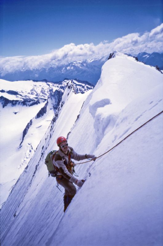 Hochfeiler (331 Bildaufrufe)