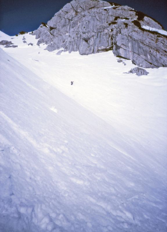 Gr.Buchstein (364 Bildaufrufe)