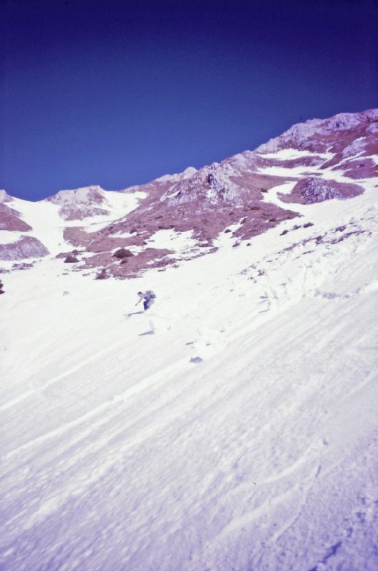 Gr.Wildkamm, Hohe Veitsch (382 Bildaufrufe)