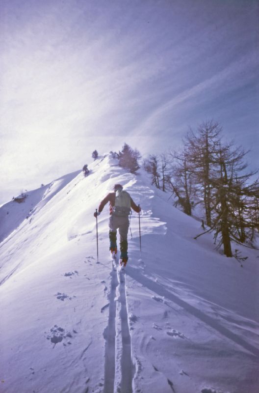 Oischingkogel, Vorderer Zellerhut, Mittl.Zellerhut (828 Bildaufrufe)
