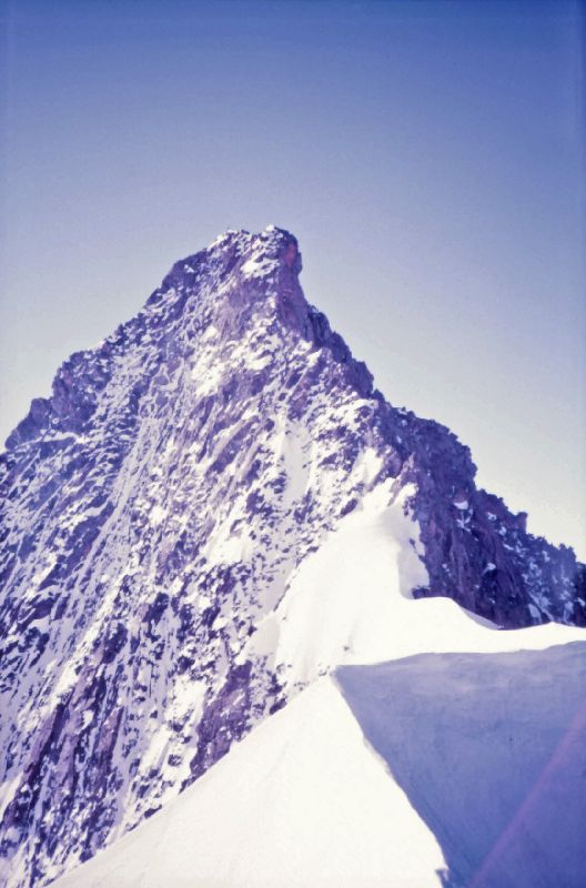 Großglockner (344 Bildaufrufe)