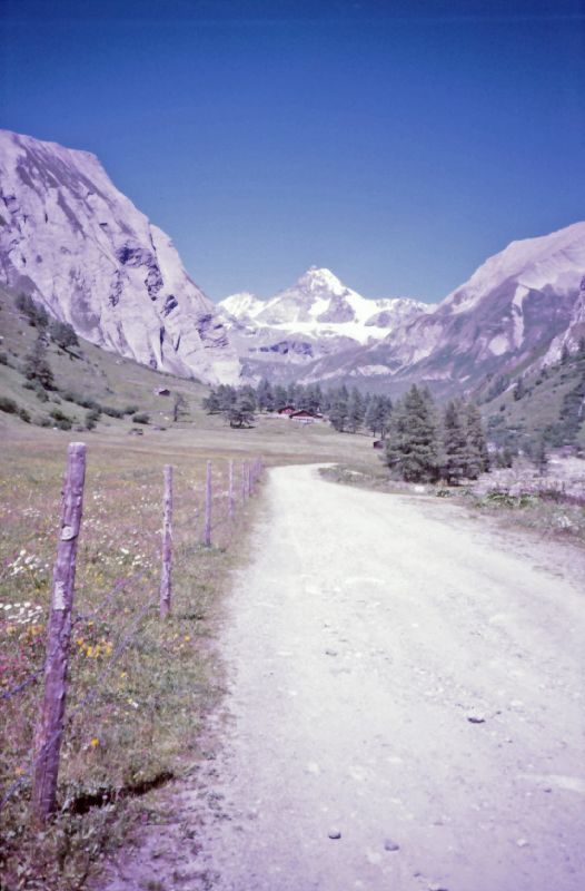 Großglockner (400 Bildaufrufe)