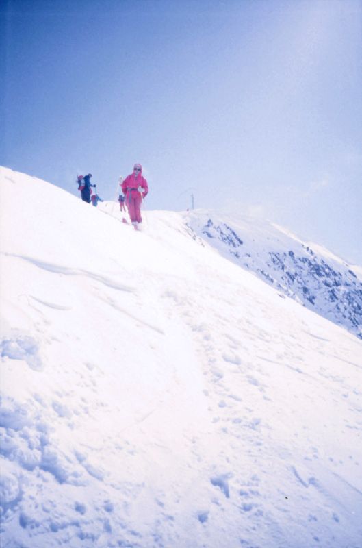 Hauslabkogel, Similaun, Hintere Schwärze, Fineilspitze, Seikogel (287 Bildaufrufe)