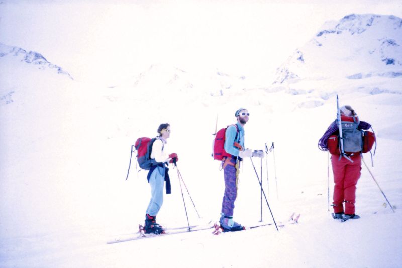 Hauslabkogel, Similaun, Hintere Schwärze, Fineilspitze, Seikogel (283 Bildaufrufe)