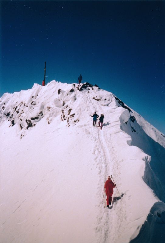 Hauslabkogel, Similaun, Hintere Schwärze, Fineilspitze, Seikogel (349 Bildaufrufe)